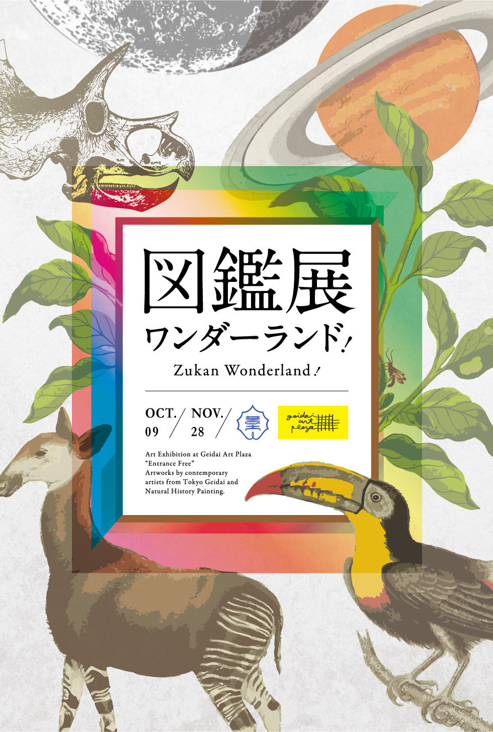 図鑑展_DM
