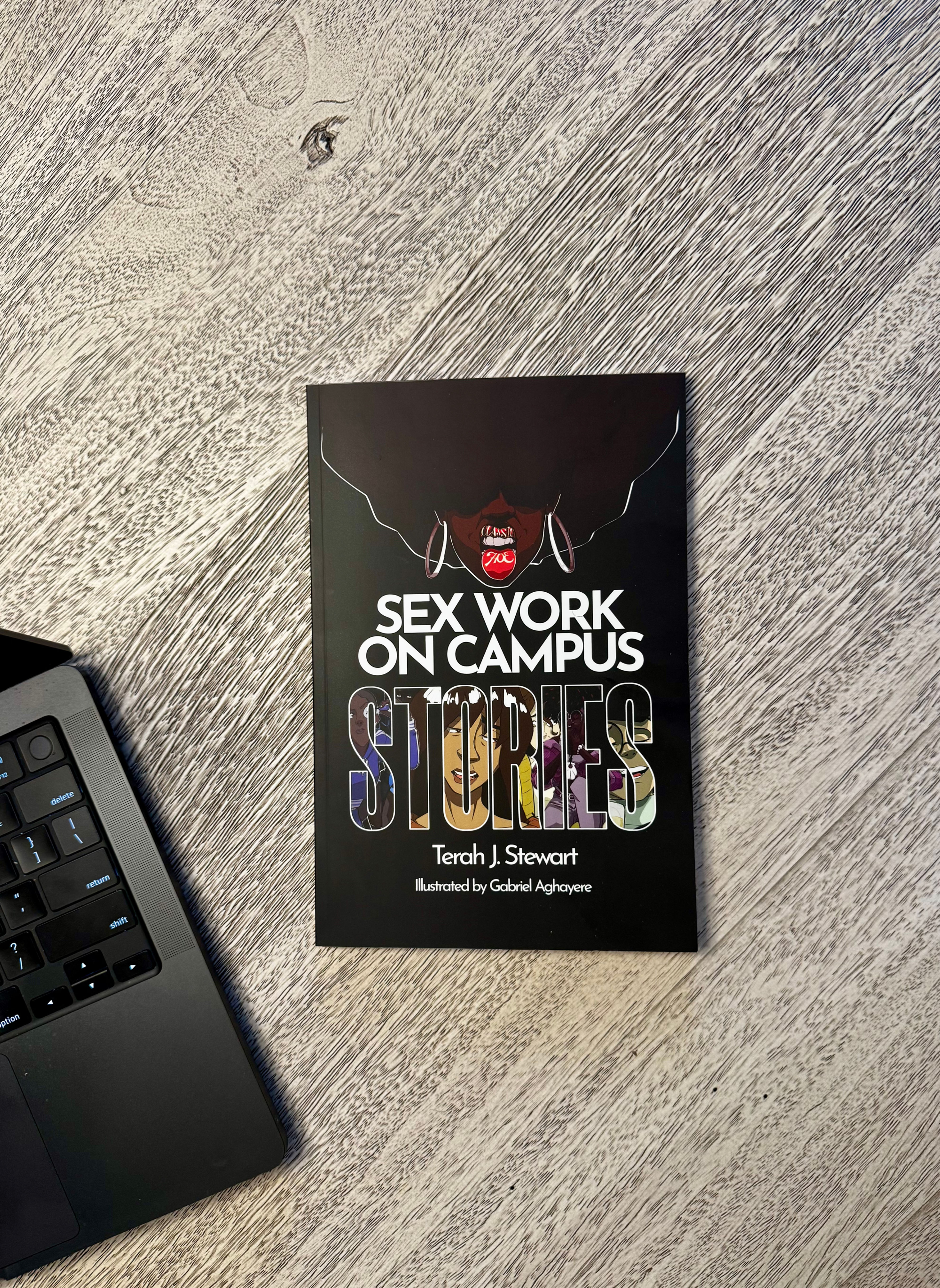 Sex Work on Campus Stories (Paperback)