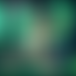 * Mon Cheri * - Vegas