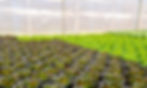Postharvest Hub Farm-to-fork logistics