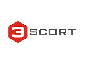 logo (10).png