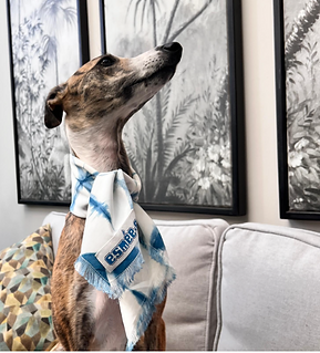 Screenshot 2025-10-30 at 11.18.10.png