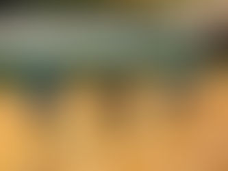 障がい者のスポーツの集い体験