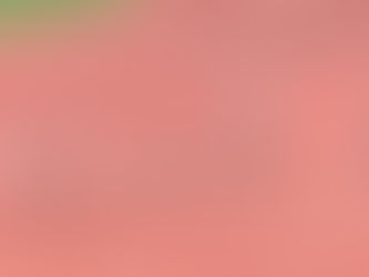 全国中学選手権