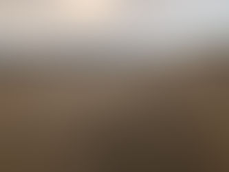 2020年最後のご挨拶