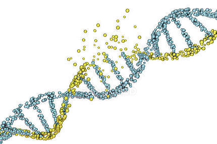 genetics.jpg