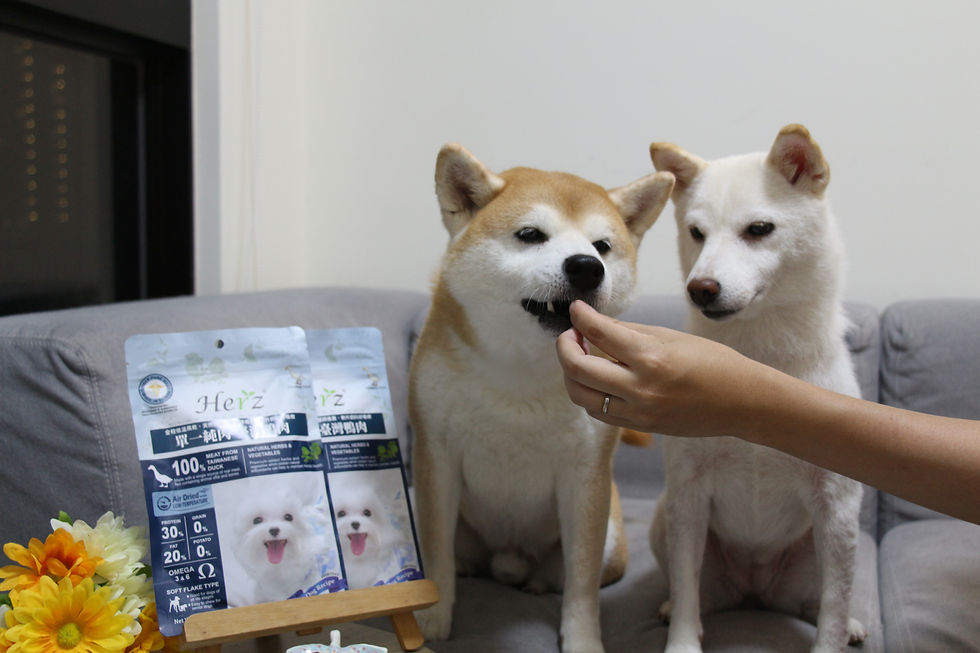 而這飼料採用「軟片」設計,口感介於乾飼料與濕糧之間,入口柔軟、咀嚼方便