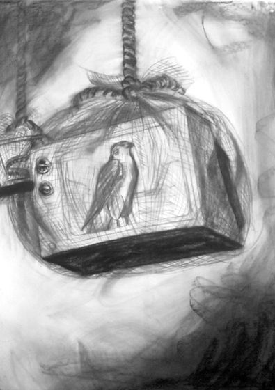 Regina Vater 1989 vídeo instalação NATURE.jpg