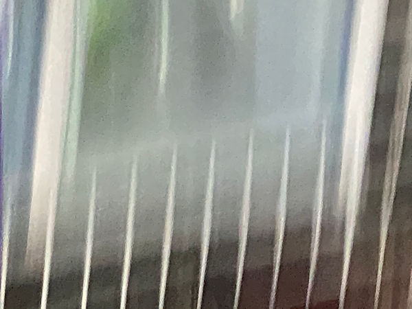 IMG_3456 2.jpeg