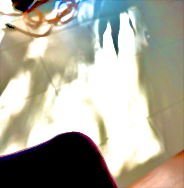 IMG_1337.jpeg