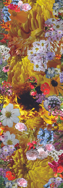 FOTO INSTALAÇAO SITE1.jpg