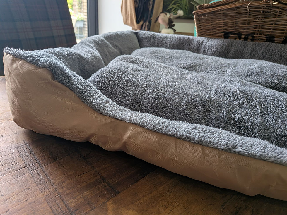 Thumbnail: XXL Dog Bed
