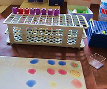 vials.png