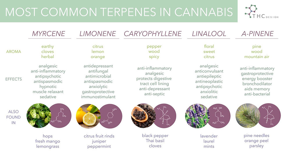therpenes 