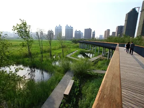 CIDADES-ESPONJA: INOVAÇÃO URBANA COMO ALTERNATIVA PARA EXTREMOS CLIMÁTICOS
