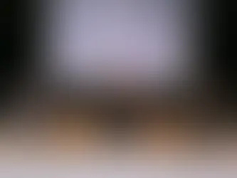 AGÊNCIA PÚBLICA: “O JORNALISMO NA LINHA DE FRENTE: MESA DESINFORMAÇÃO E POPULISMO DIGITAL.”