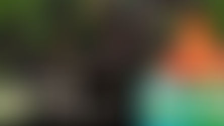 FRIO NA BARRIGA À VÉSPERA DA ESTREIA DO BRASIL, CONFIRA A EDIÇÃO NÚMERO 4 DO DROPS DA COPA