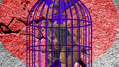 Ser feliz é complicado, bem mais fácil é sofrer, por Paulo Gaiger*