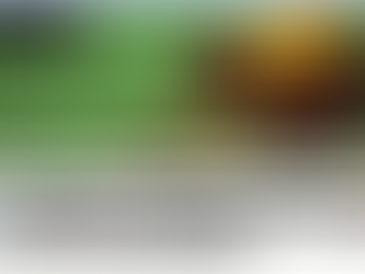 Intercept_ Brasil: ‘Sete empresas formam oligopólio na saúde privada e controlam a economia nacional’, diz pesquisador