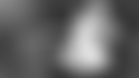 DITADURA, NUNCA MAIS!, POR RAUL CARRION (*)