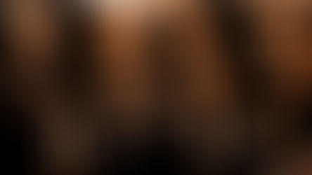 BOLSONARO NÃO COMETEU OS CRIMES SOZINHOS, SEUS MINISTROS TAMBÉM SÃO RESPONSÁVEIS, POR CARLOS WAGNER