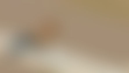 2 - Um Cavalo no Telhado, por Nora Prado *