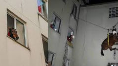 7 - A Égua do Terceiro Andar, por Nora Prado*