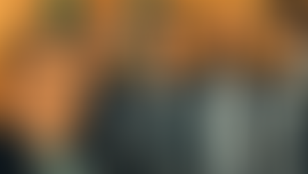 A CONTINUAÇÃO DO GOLPE: ANISTIA, INDULTO E A AMEAÇA À DEMOCRACIA