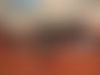 Lições do México, por Raul Pont*