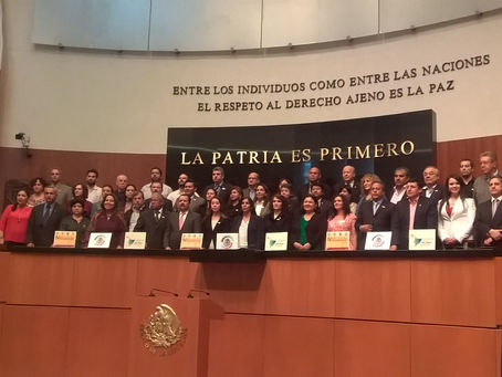 Lições do México, por Raul Pont*