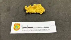 Pepita de ouro de Costa Neto liga o garimpo aos atos terroristas de 8 de janeiro?, por Carlos Wagner*