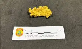 Pepita de ouro de Costa Neto liga o garimpo aos atos terroristas de 8 de janeiro?, por Carlos Wagner*