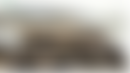 Alerta da volta da extrema direita deixado pelos Aliados da Segunda Guerra nas praias da Normandia