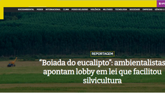 “Boiada do eucalipto”: ambientalistas apontam lobby em lei que facilitou silvicultura
