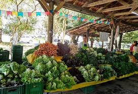 Agricultores são excluídos do debate sobre a regulamentação das feiras ecológicas em Porto Alegre