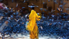 Palavras preferidas, por Nora Prado (*)