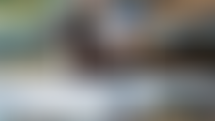 POSICIONAMENTO DO "MOVIMENTO SALVE O HARMONIA" SOBRE RECOMENDAÇÃO DO MP À PREFEITURA DE PORTO ALEGRE