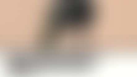 Monografias de militares associam PT ao crime, defendem intervenção e ditadura e o Exército como 'poder moderador'