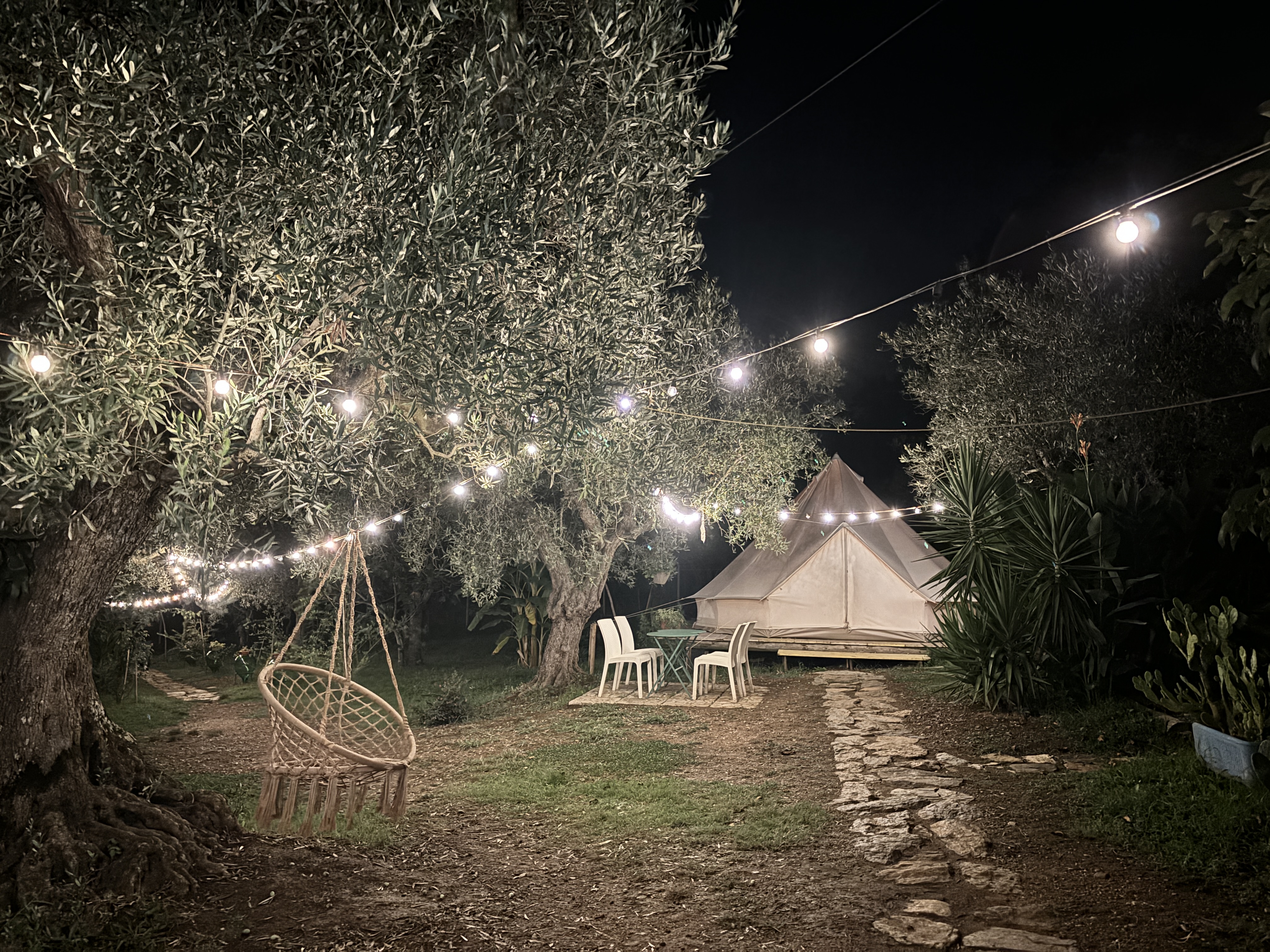Tenda glamping illuminata tra gli ulivi la sera