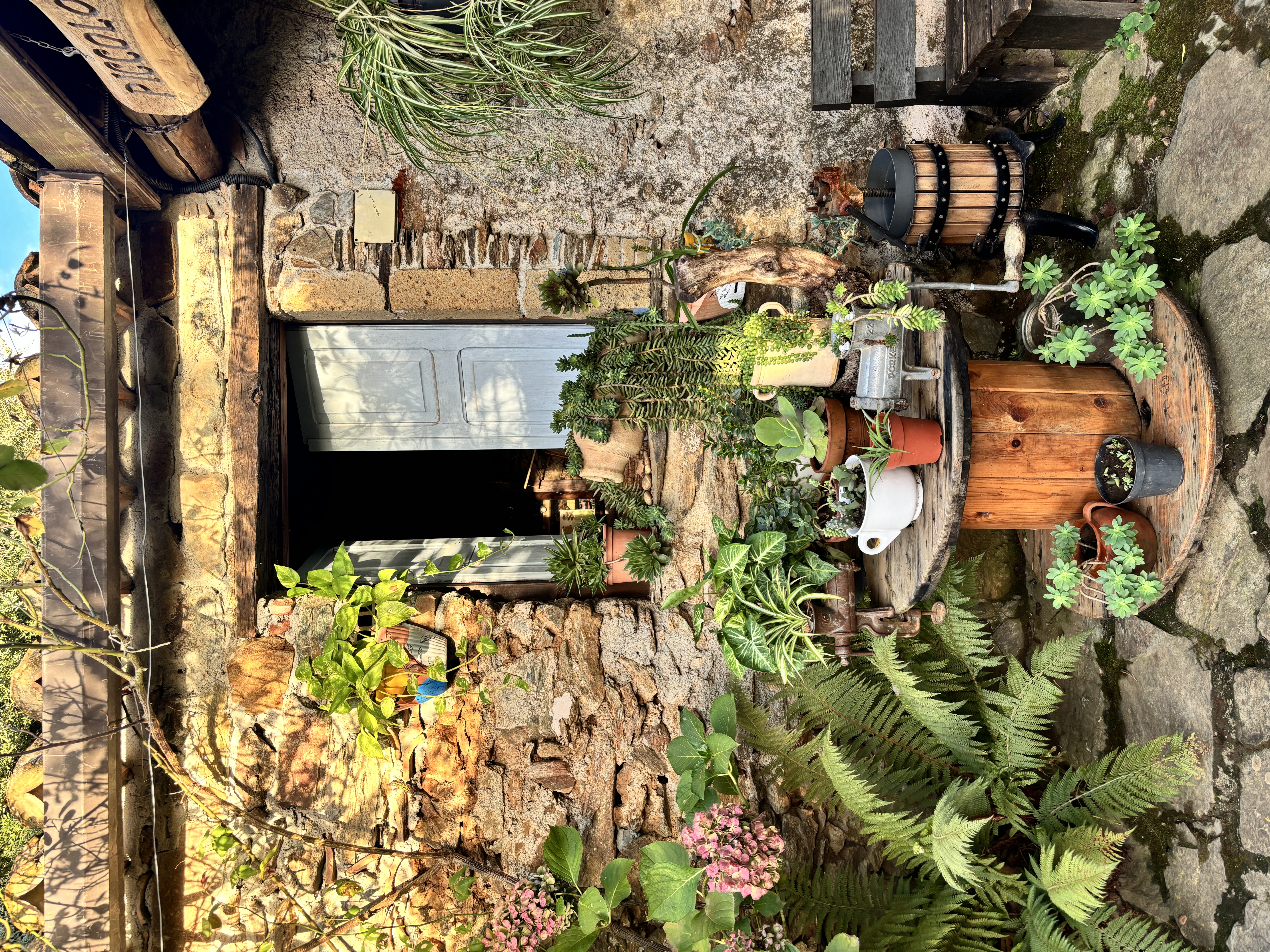 Casa rurale e vegetazione al Golden Camp