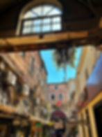 Sunny narrow alley between old buildings with tangled wires, air conditioners, hanging greenery, and signs beneath Cuhaci Han.