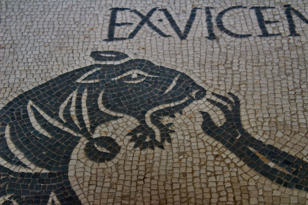 A black and white mosaic depiction of an animal snapping at a human hand.