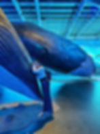 A woman looks blissfully at the camera while lovingly leaning against the head of a life-sized whale model.