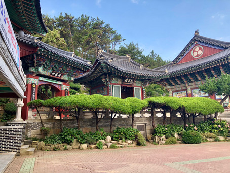 Making the Most of a South Korean Vacation