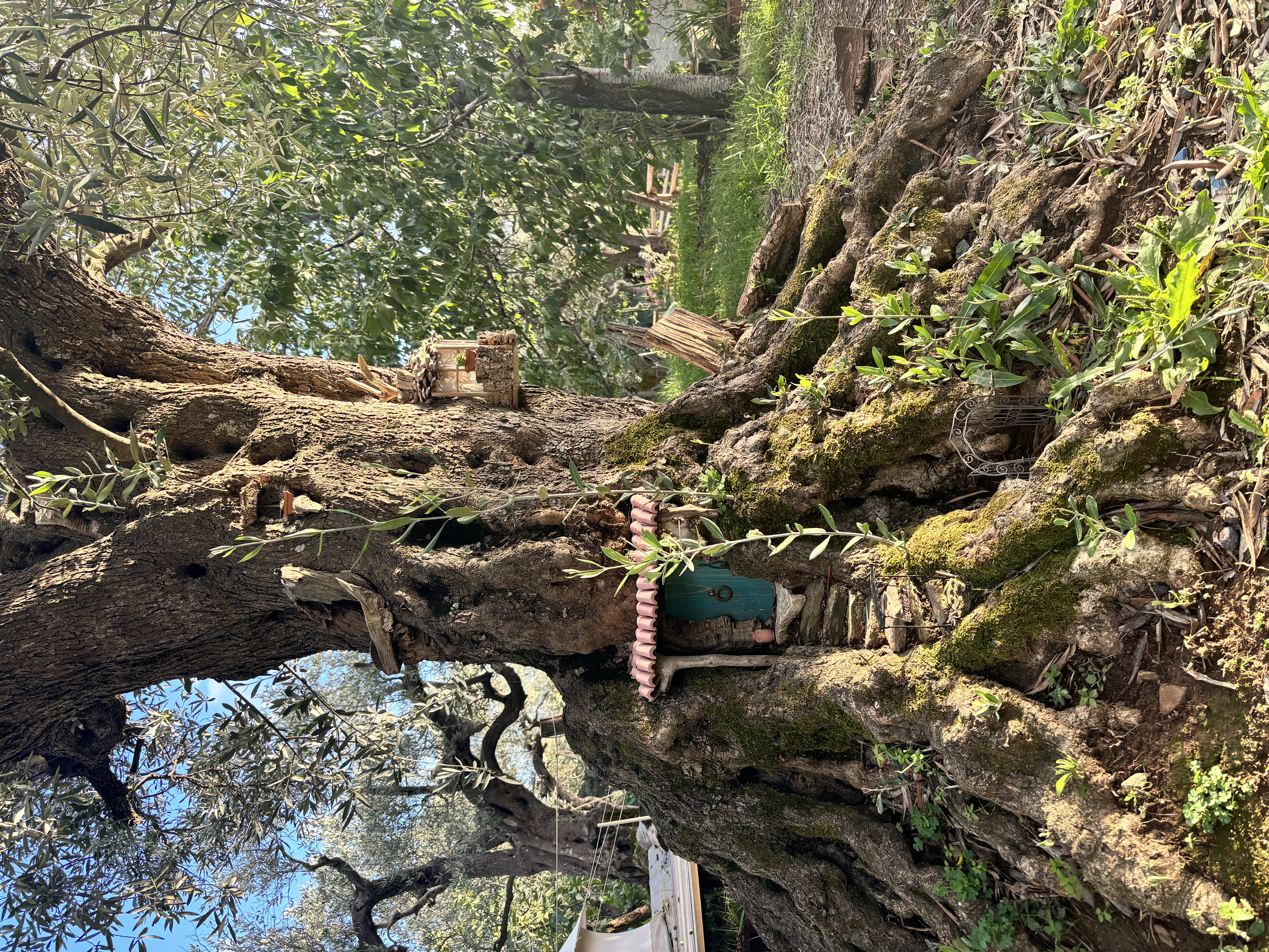 Piccola casetta sull’albero nella proprietà