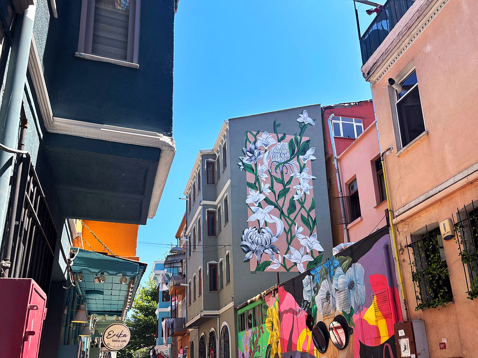 Colourful narrow alley with flower murals on buildings and a hanging Erika bistro cafe sign under a bright blue sky.