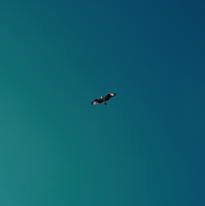BBCC63C2-6495-4416-AD51-B38251F39004.png