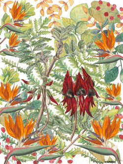 SPRING LEAVES BOTANICALSTURTPEA