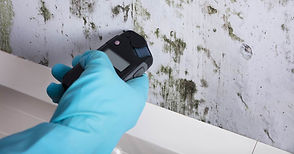 HowToTestForBlackMold_1200x1200.jpg
