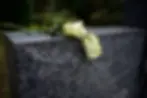 how-to-clean-a-headstone-1-1712860315948.jpg.webp